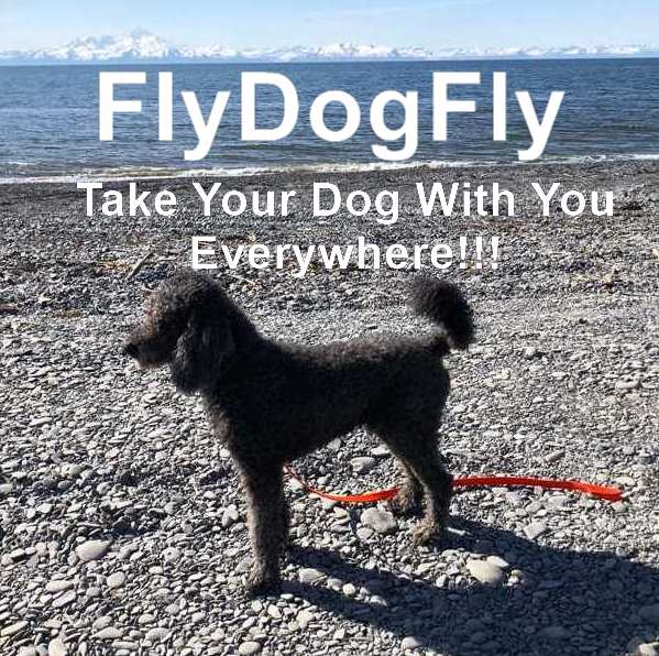 FlyDogFly - Travel Agent for People With Dogs